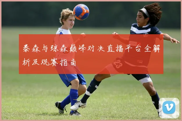 泰森与琼森巅峰对决直播平台全解析及观赛指南