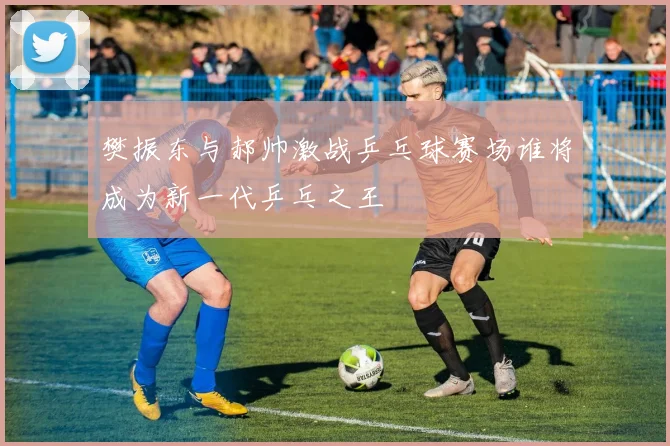 樊振东与郝帅激战乒乓球赛场谁将成为新一代乒乓之王