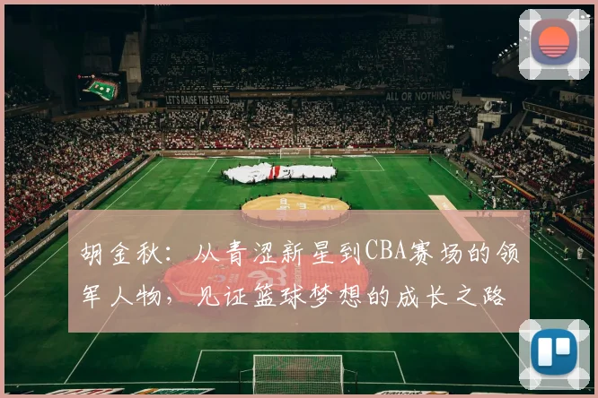 胡金秋：从青涩新星到CBA赛场的领军人物，见证篮球梦想的成长之路